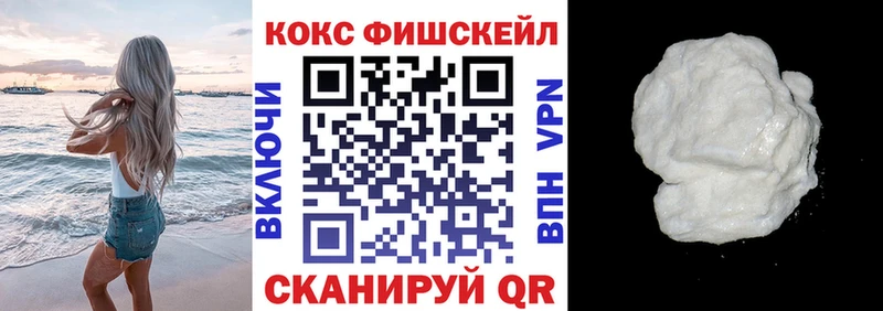 где купить наркоту  Печоры  Cocaine Fish Scale 