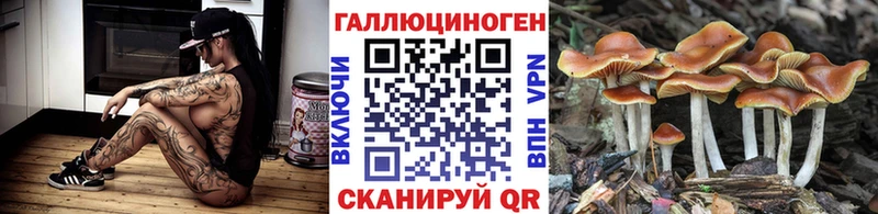 закладки  Печоры  Псилоцибиновые грибы GOLDEN TEACHER 